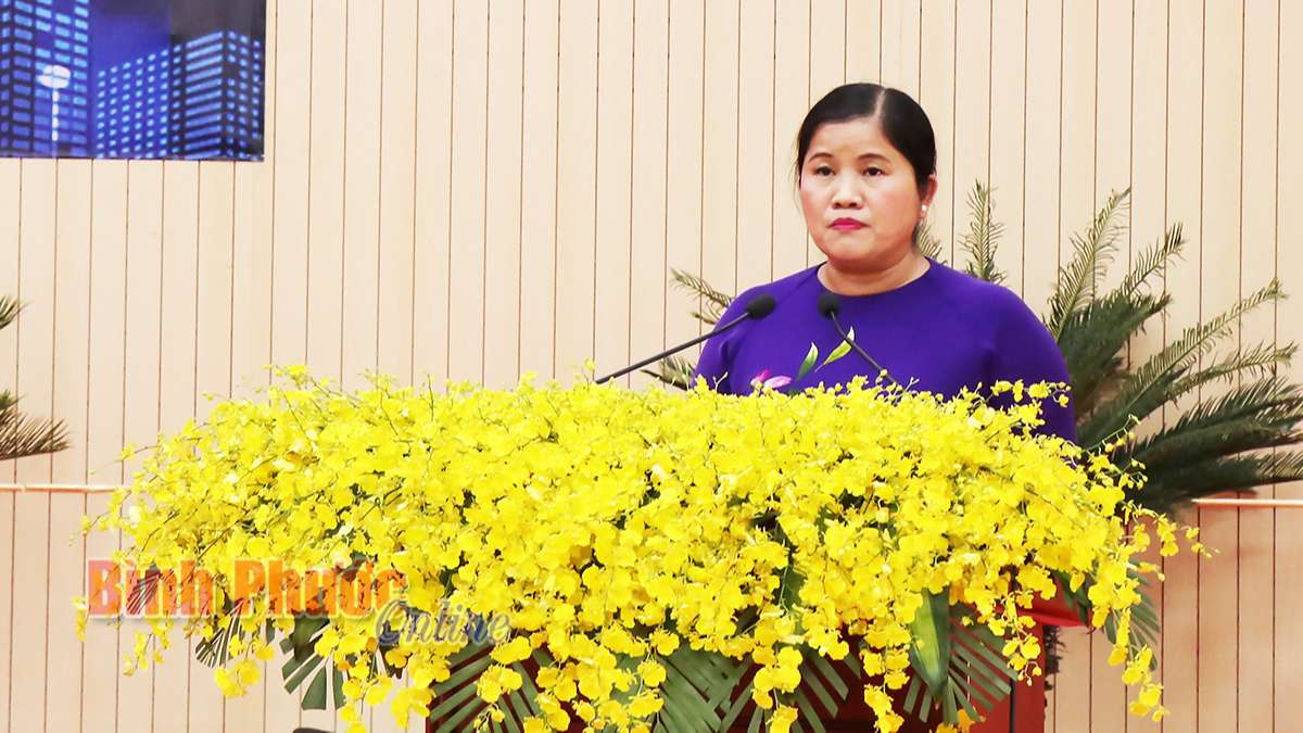 Phó bí thư Tỉnh ủy, Chủ tịch UBND tỉnh Trần Tuệ Hiền phát biểu tại buổi họp mặt